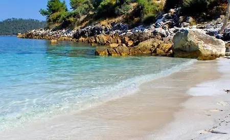 Sea Sight